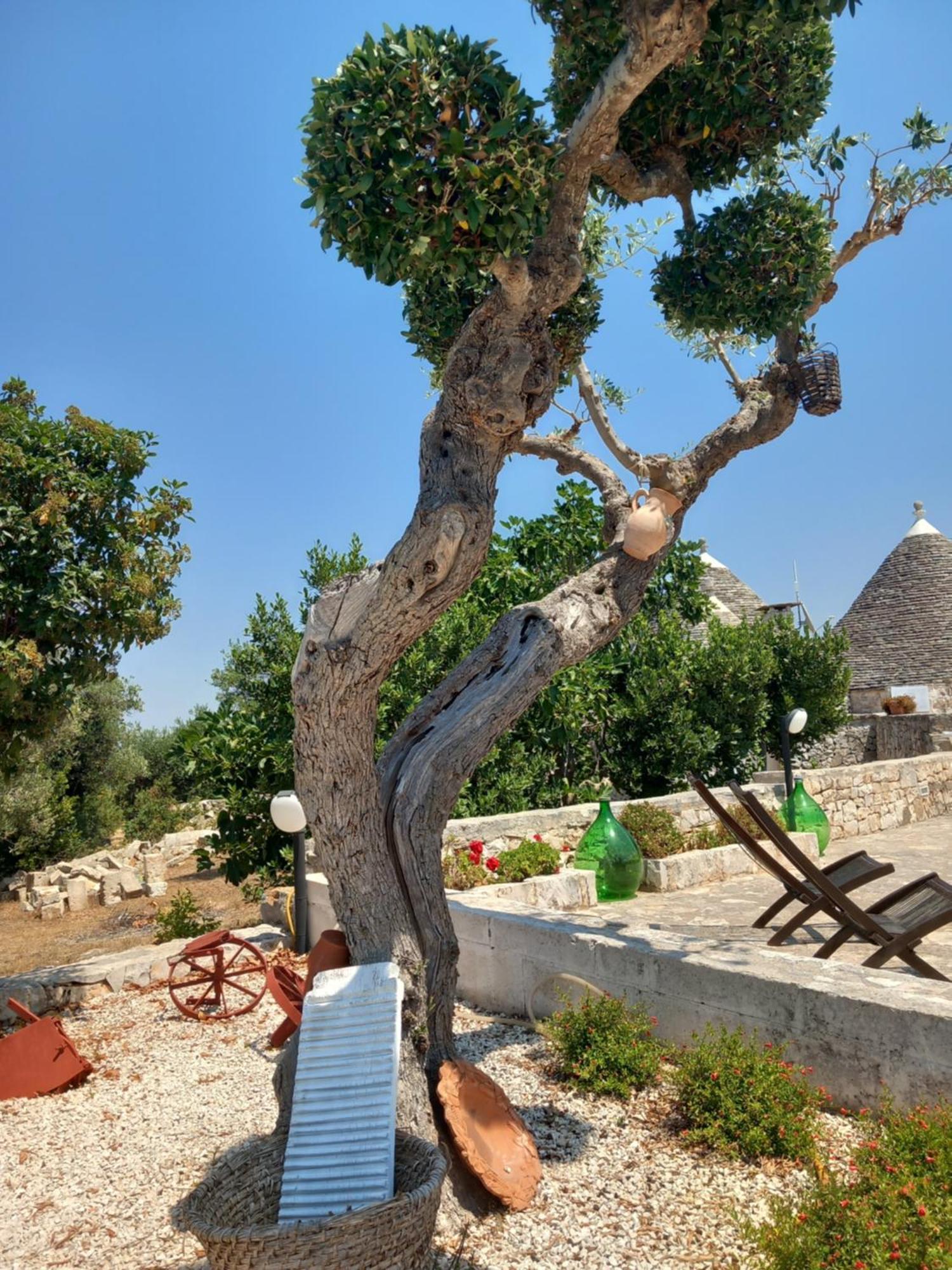 Trullo Monte Del Sale Pensionat Alberobello Exteriör bild