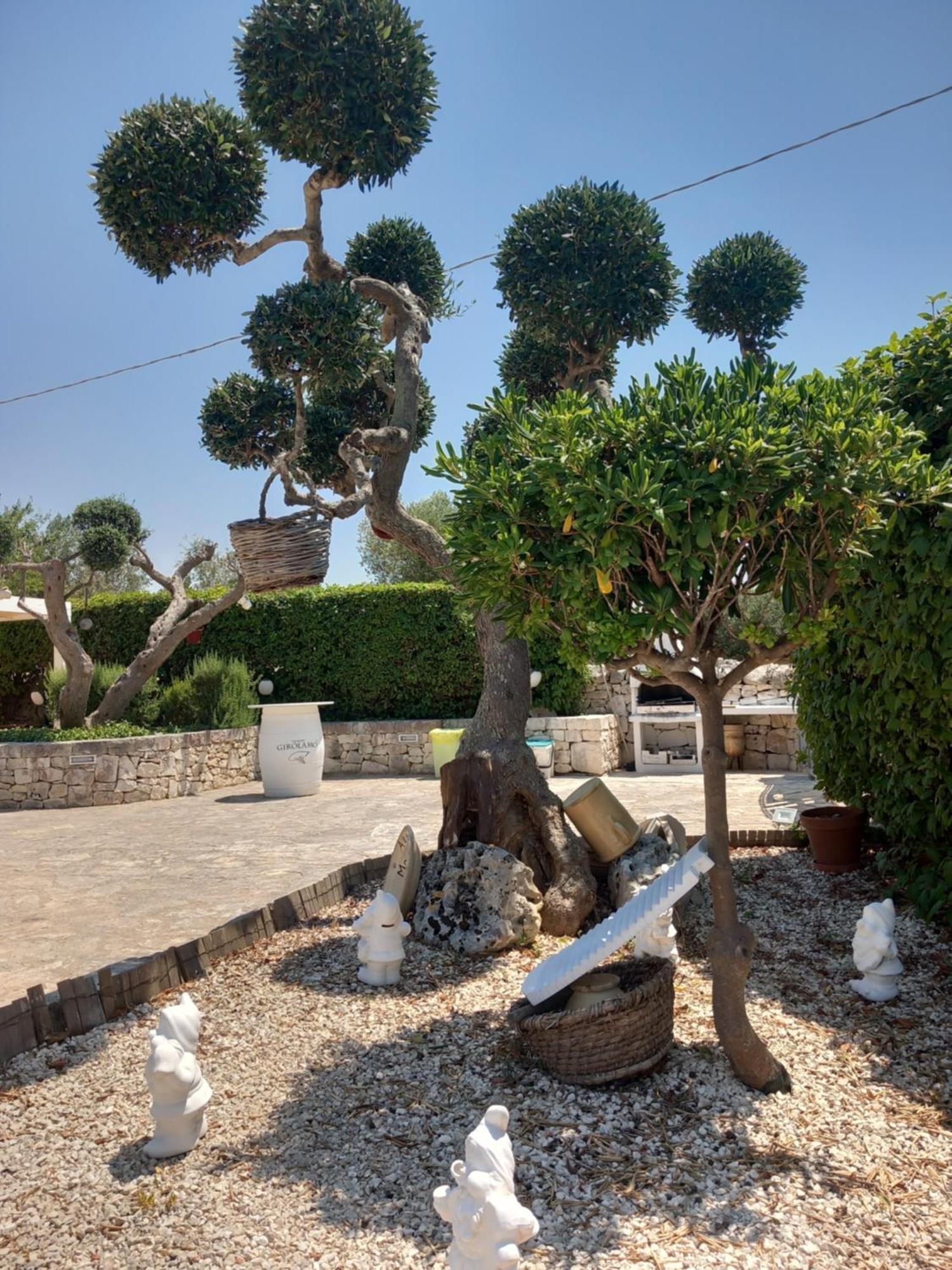 Trullo Monte Del Sale Pensionat Alberobello Exteriör bild