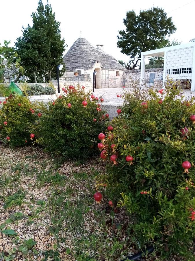 Trullo Monte Del Sale Pensionat Alberobello Exteriör bild